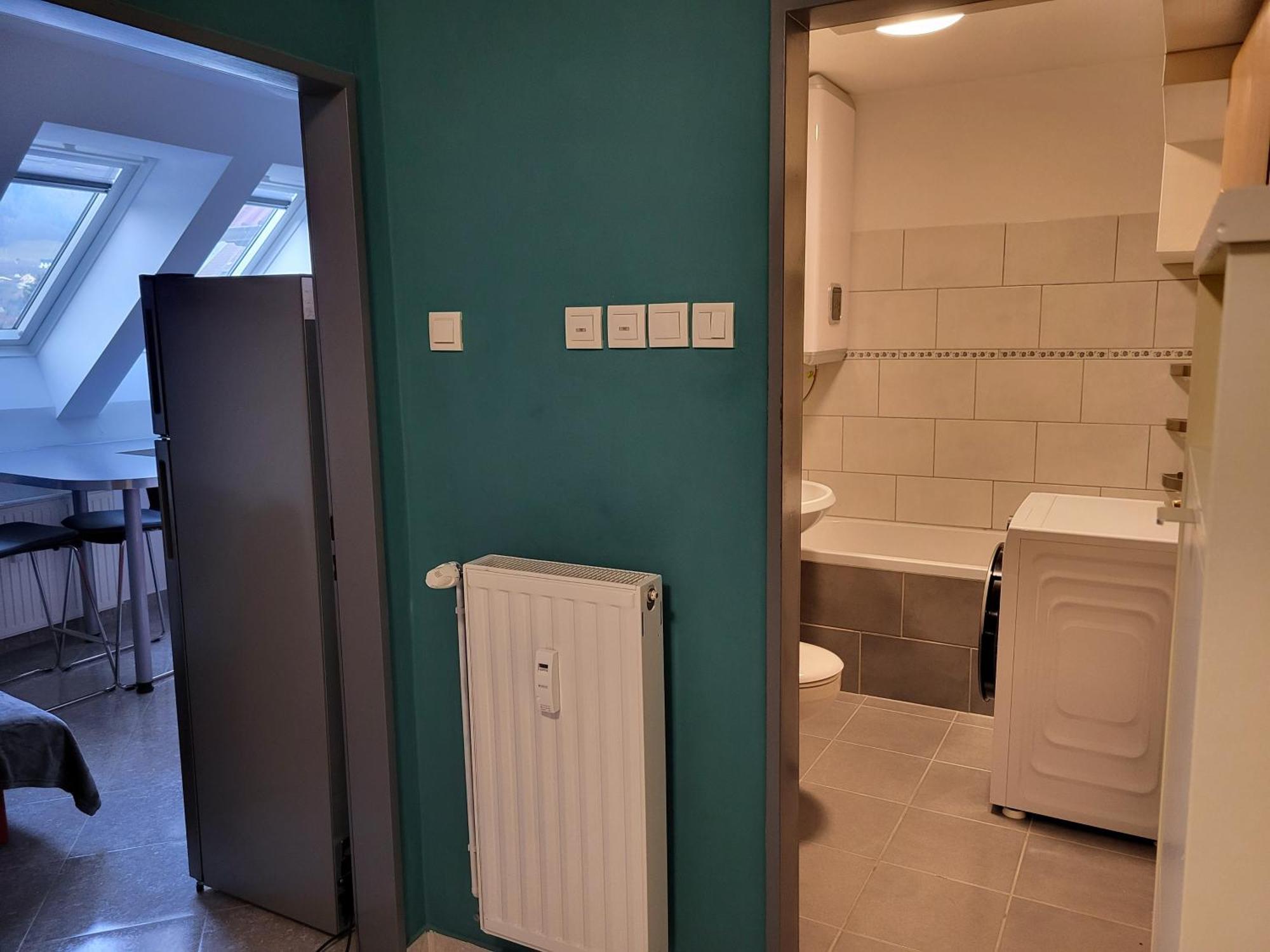 Meza10 Appartement Dravograd Buitenkant foto
